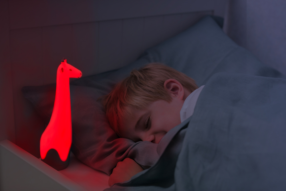 Zazu - Lampe torche et veilleuse Gina la girafe – Image 5
