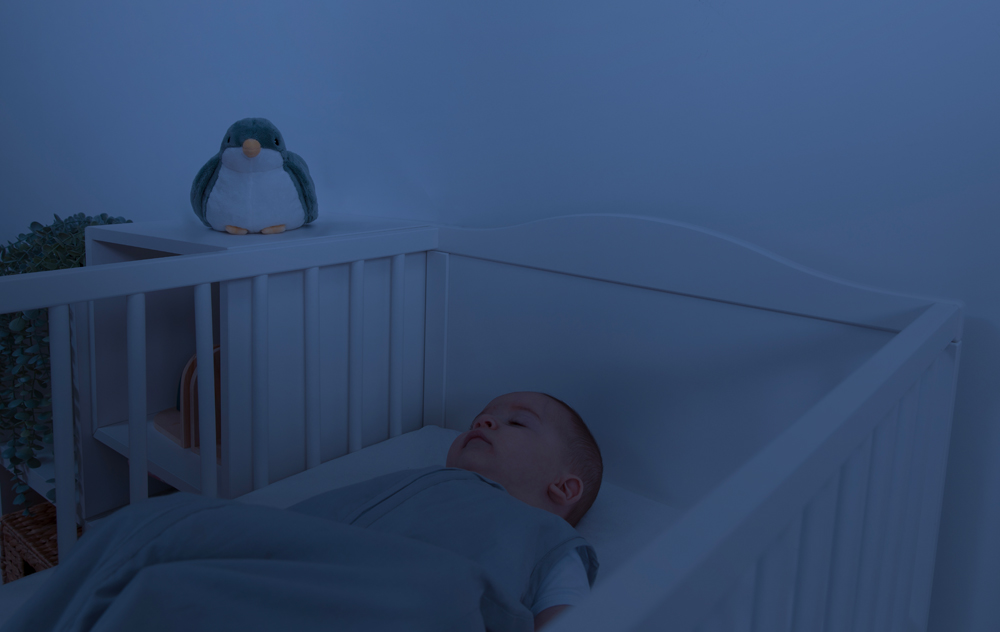 Zazu - Shally l’oiseau - Projecteur d’ambiance avec veilleuse intégrée – Image 3
