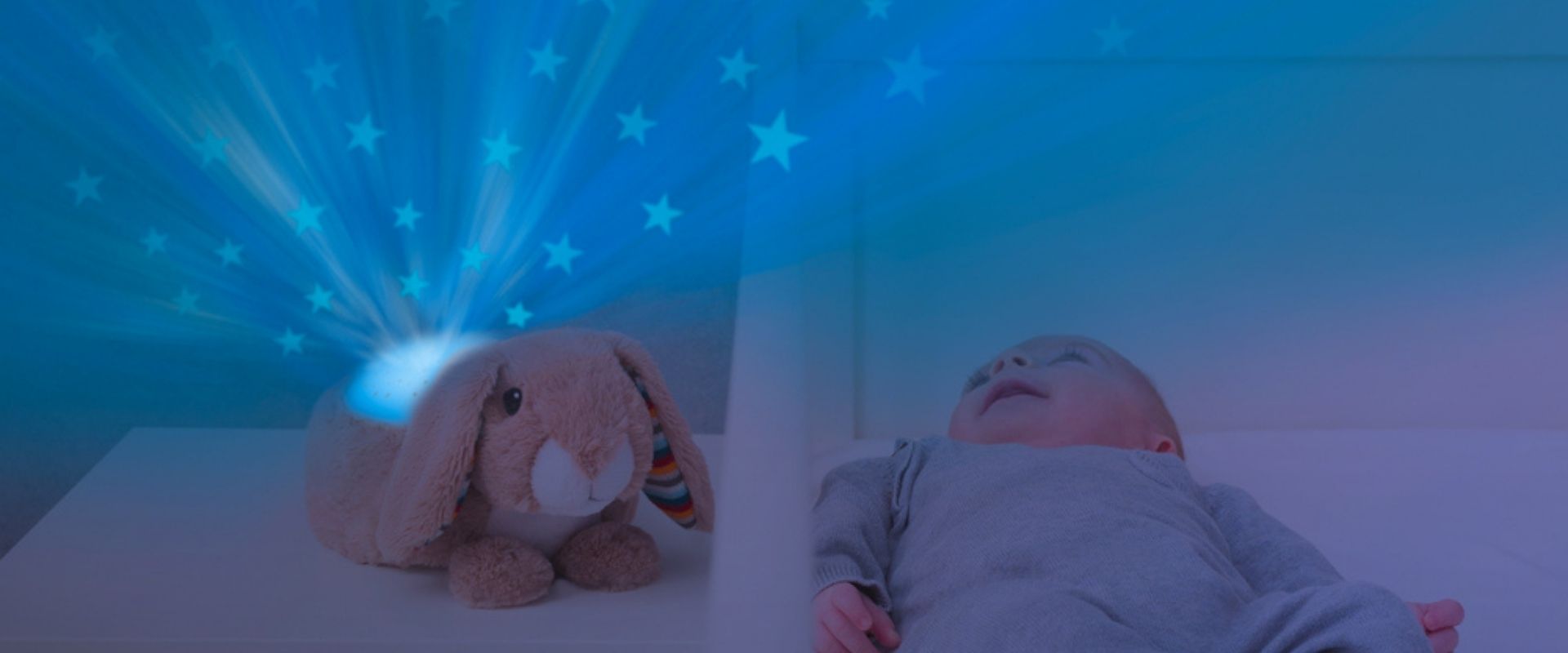GIF NEWSLETTERS lifestyle - projecteur Zazu lapin